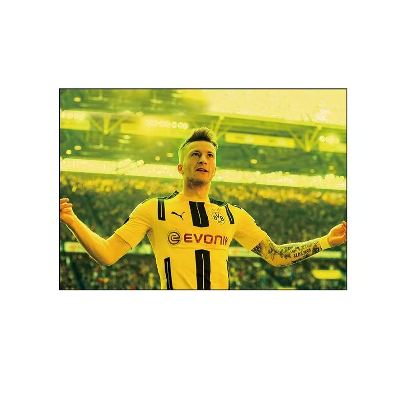 Marco Reus  Wall Art