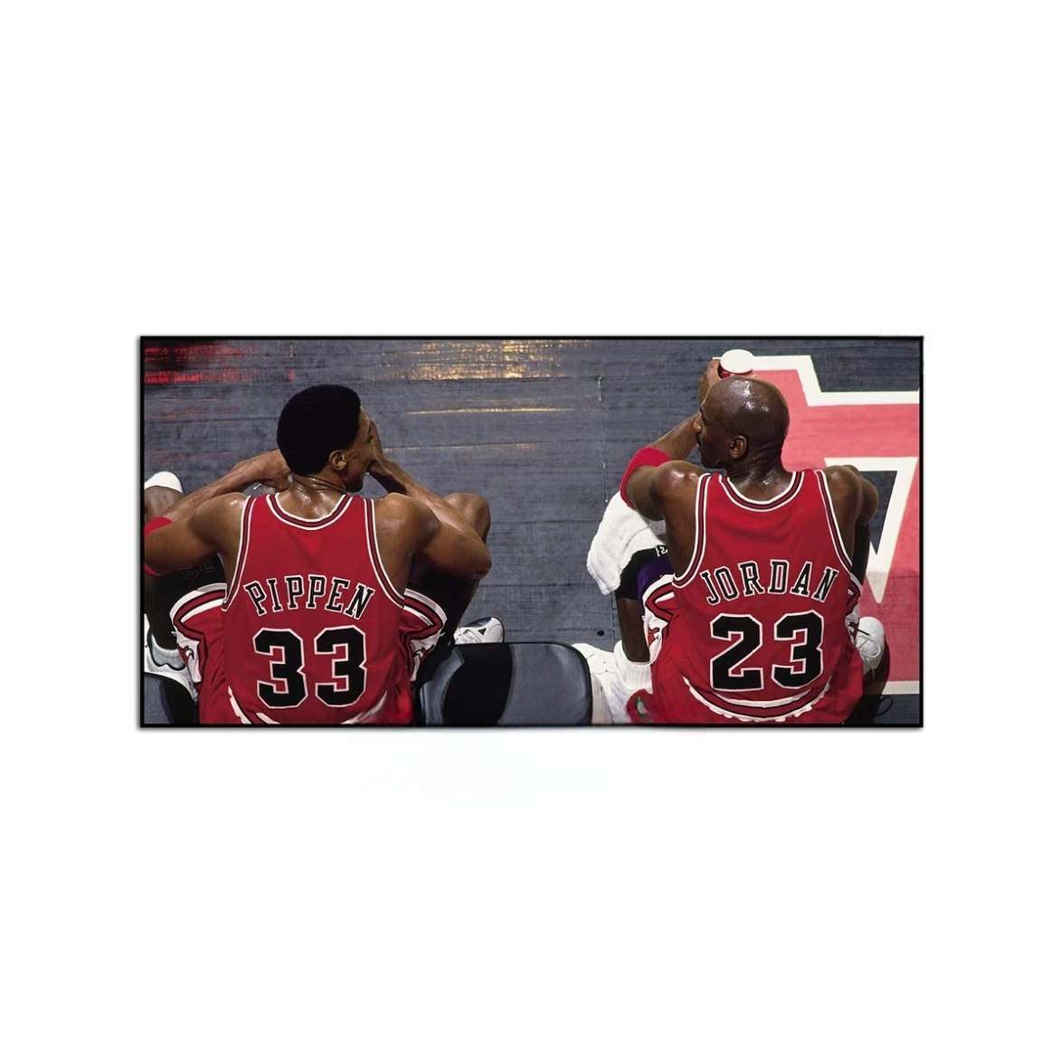 Michael Jordan and Scottie Pippen Wall Art