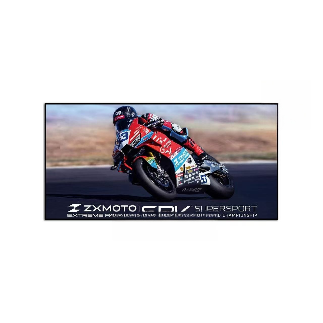 ZX moto Wall Art