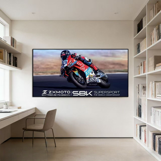 ZX moto Wall Art