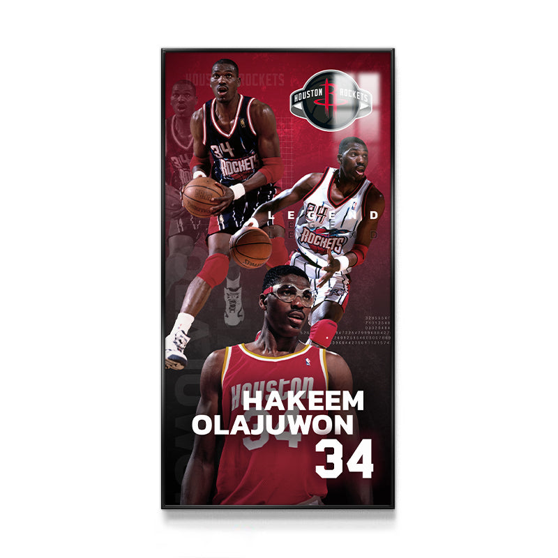 Houston Rockets Wall Art